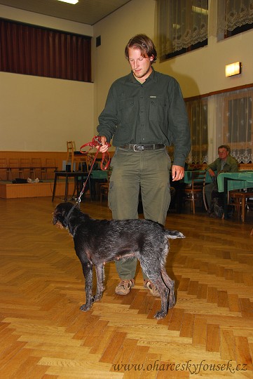 img00033.jpg
