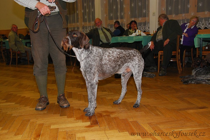 img00036.jpg