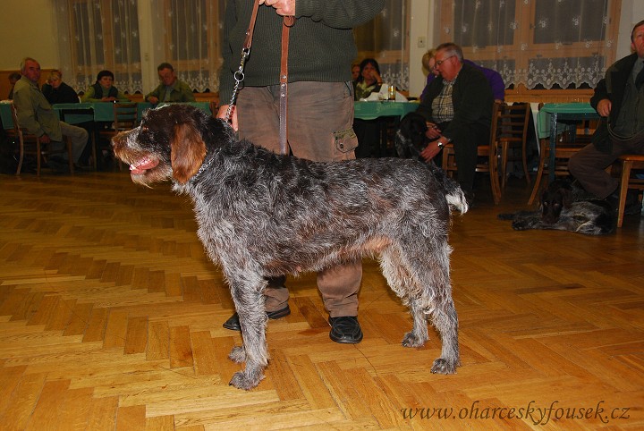 img00038.jpg