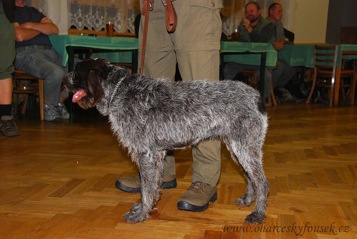 img00040.jpg