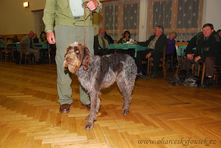 img00042.jpg