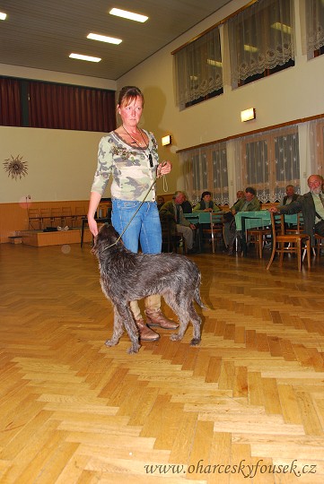 img00043.jpg