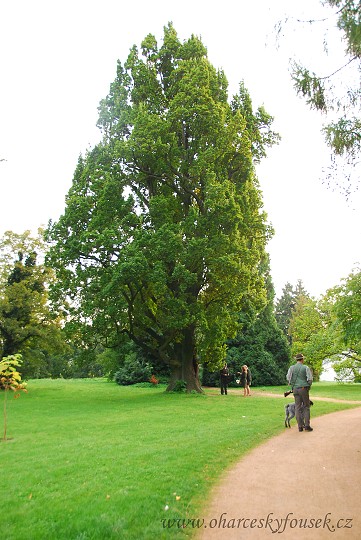 img00048.jpg
