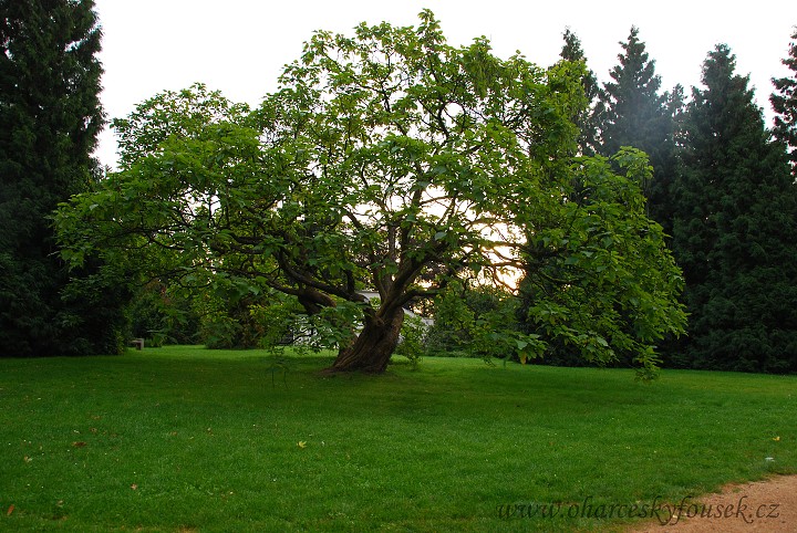 img00049.jpg