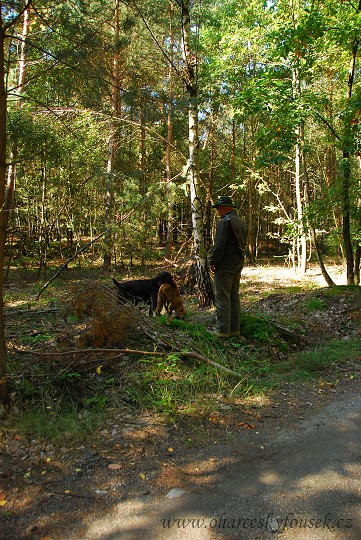 img00137.jpg