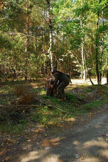 img00138.jpg