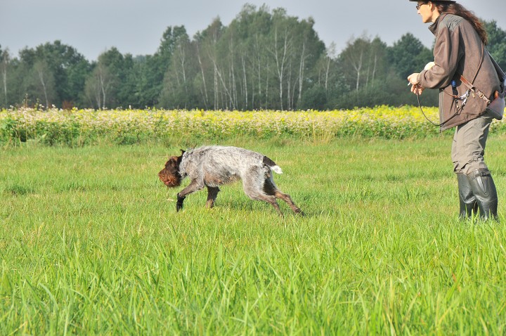 img00075.jpg
