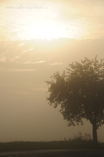 img00001.jpg