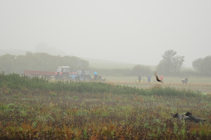 img00028.jpg