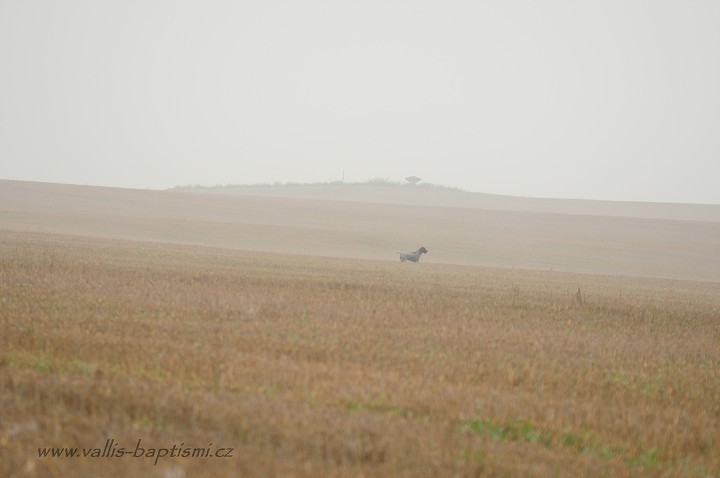 img00030.jpg