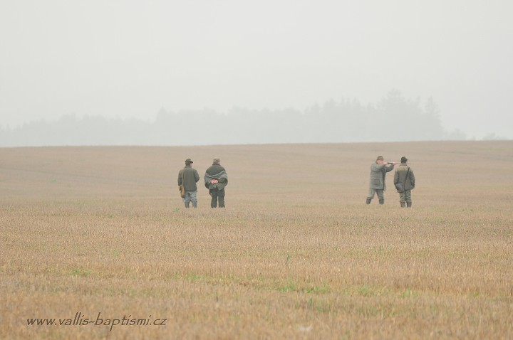 img00042.jpg