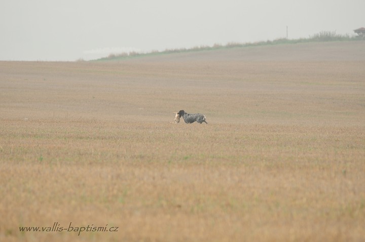 img00043.jpg