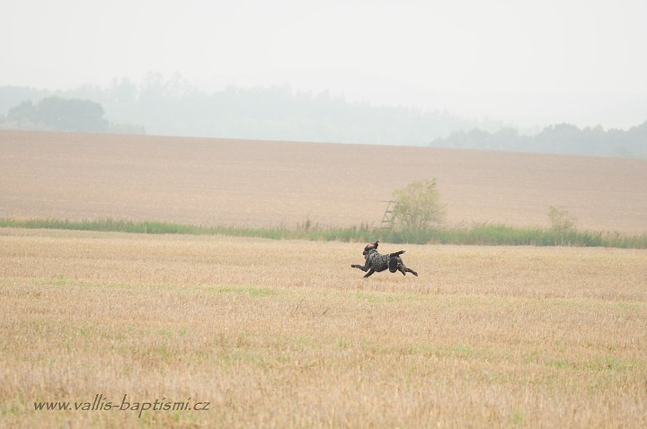 img00057.jpg