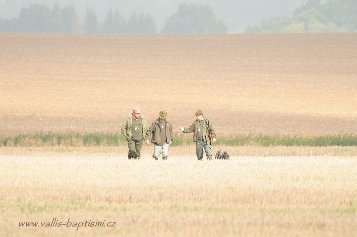 img00059.jpg