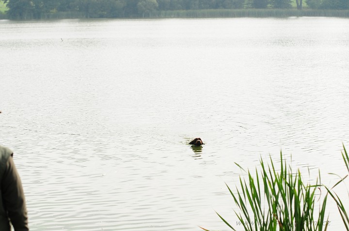 img00076.jpg