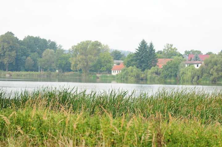 img00090.jpg