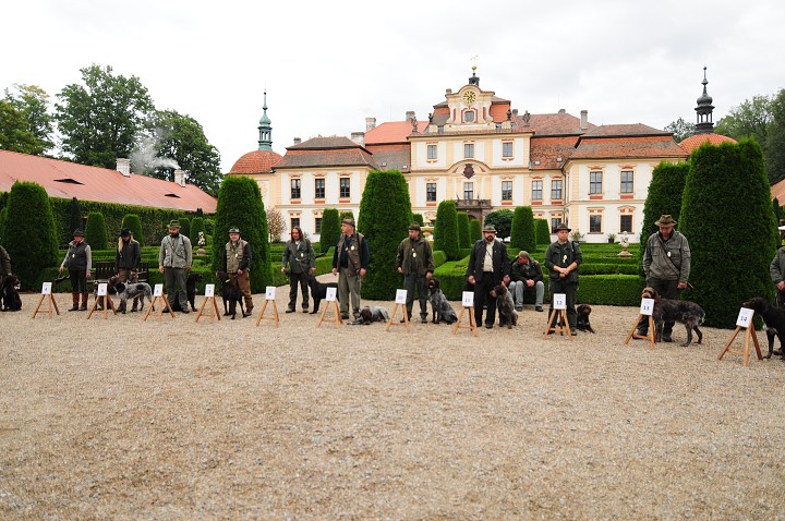 img00017.jpg