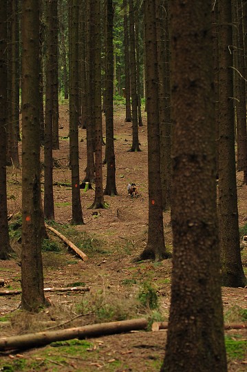img00129.jpg