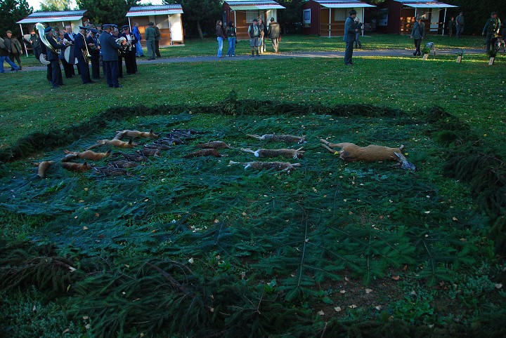 img00027.jpg