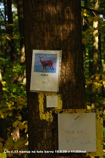img00037.jpg