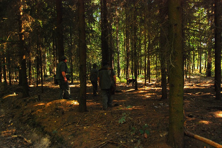img00044.jpg