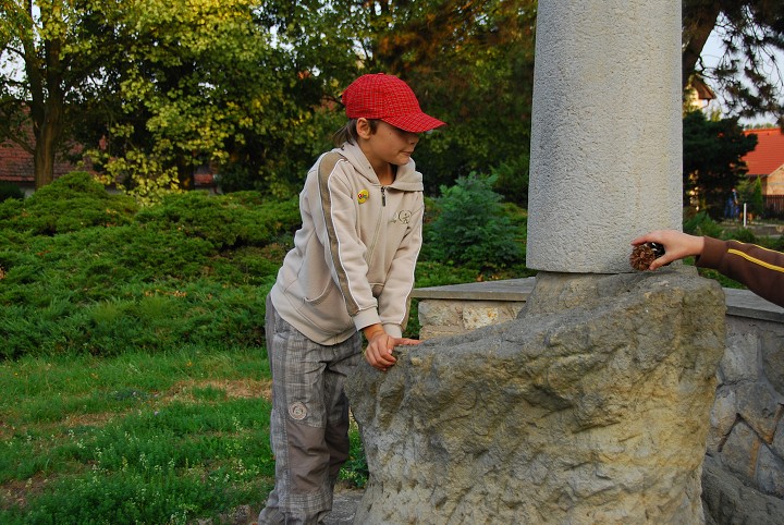 img00049.jpg