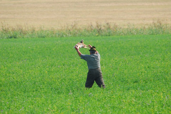 img00076.jpg