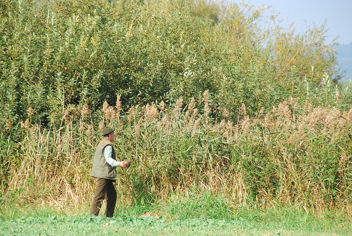 img00100.jpg