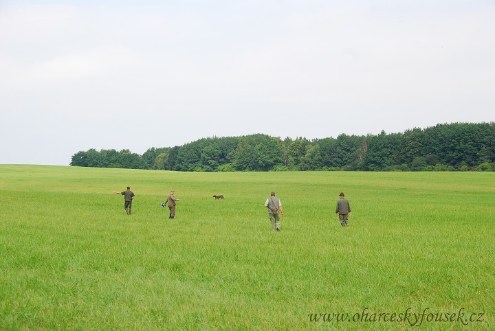 img00016.jpg