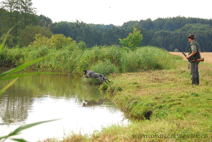 img00020.jpg