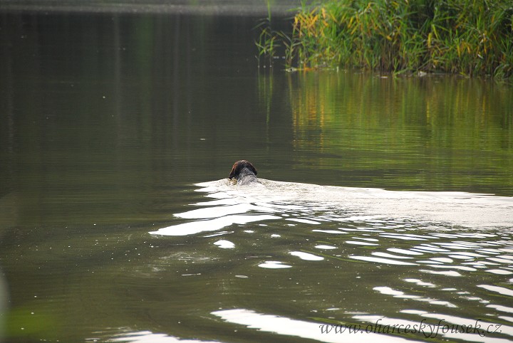 img00023.jpg
