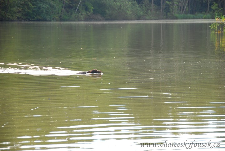 img00025.jpg