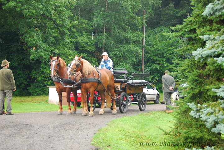 img00006.jpg