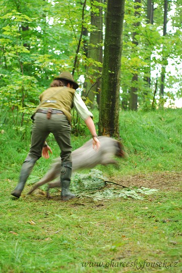 img00024.jpg