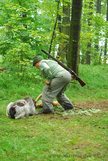 img00028.jpg