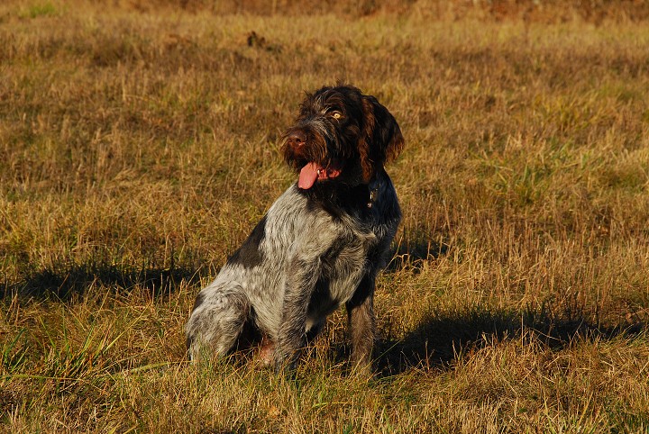 img00015.jpg