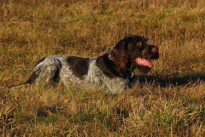 img00016.jpg