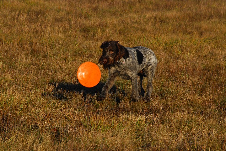 img00017.jpg