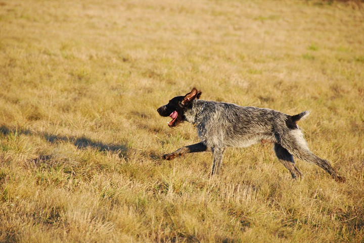 img00019.jpg