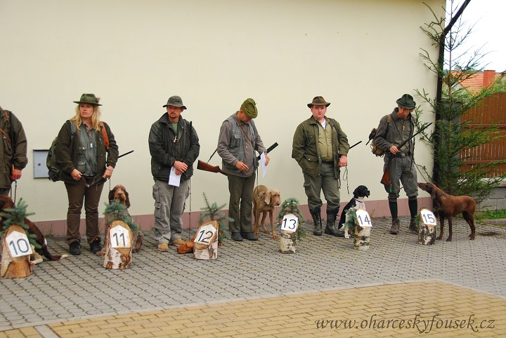 img00005.jpg