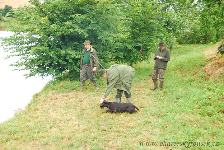 img00027.jpg