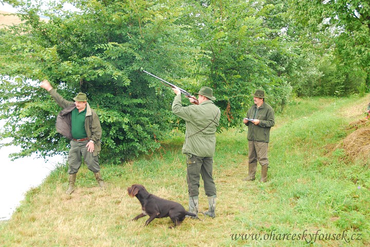 img00028.jpg