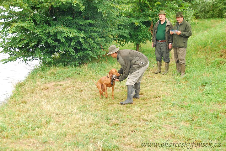 img00037.jpg