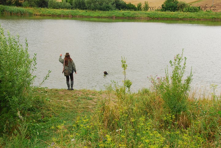 img00039.jpg