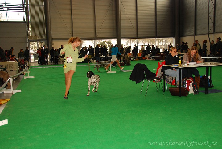 img00005.jpg