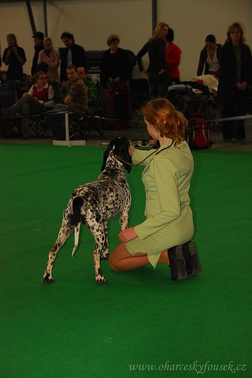 img00006.jpg