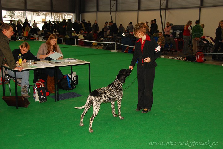 img00007.jpg