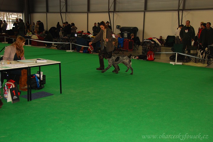 img00008.jpg