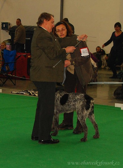 img00009.jpg