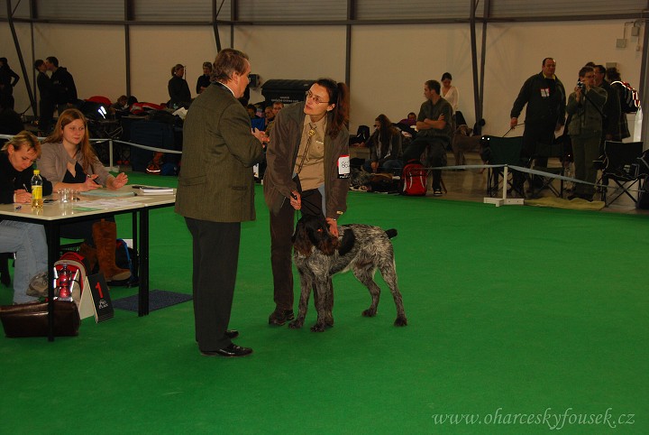 img00011.jpg